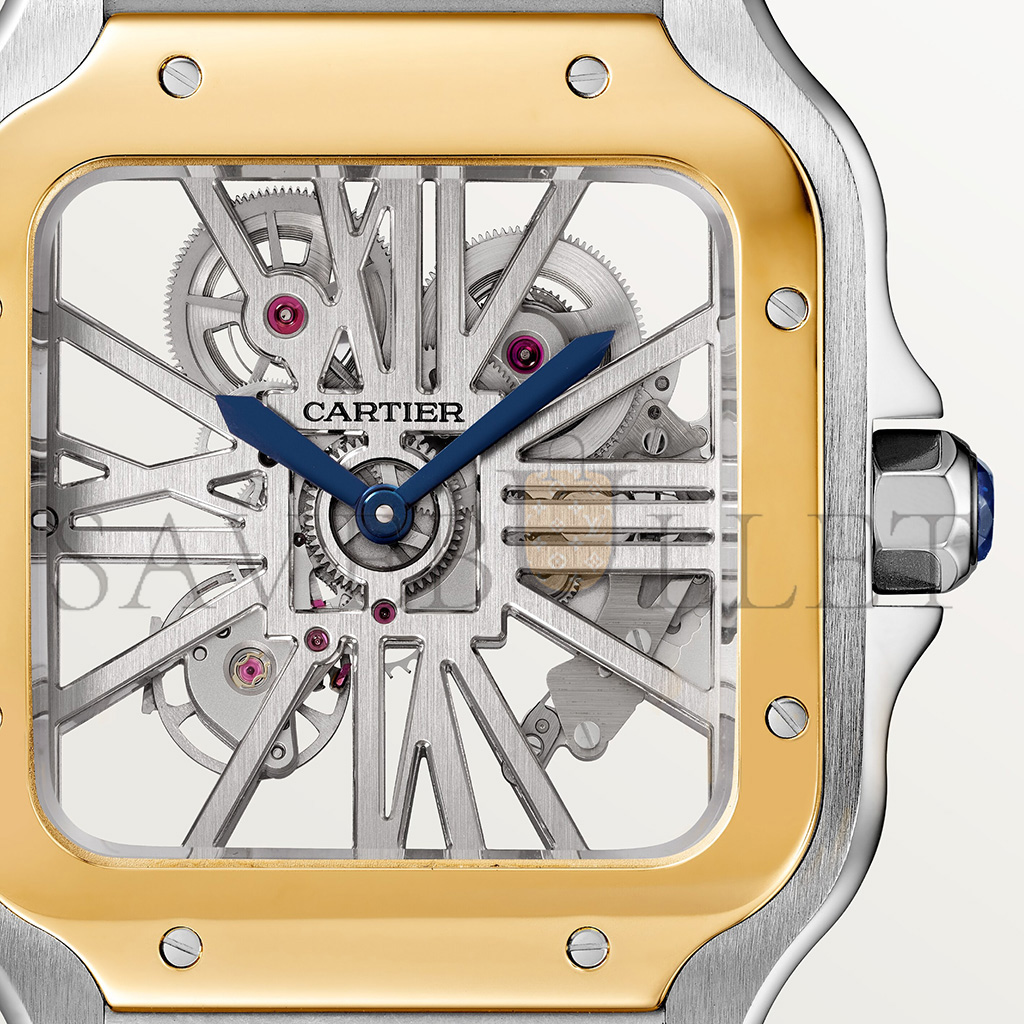 Ca*t*er santos de skeleton watch whsa0019